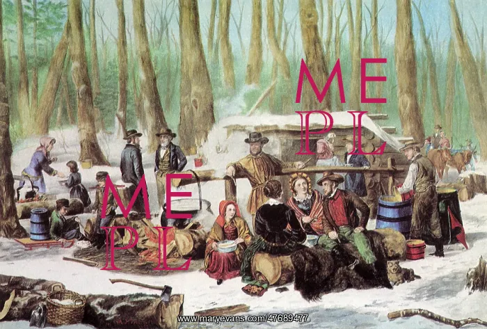  : Maple Sugaring