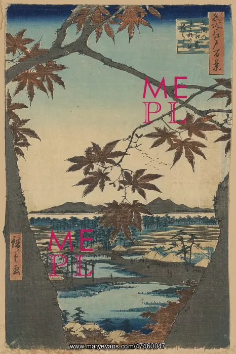 : Maple trees at Mama, Tekona Shrine and Linked Bridge : Maple trees at Mama, Tekona Shrine and Linked Bridge
