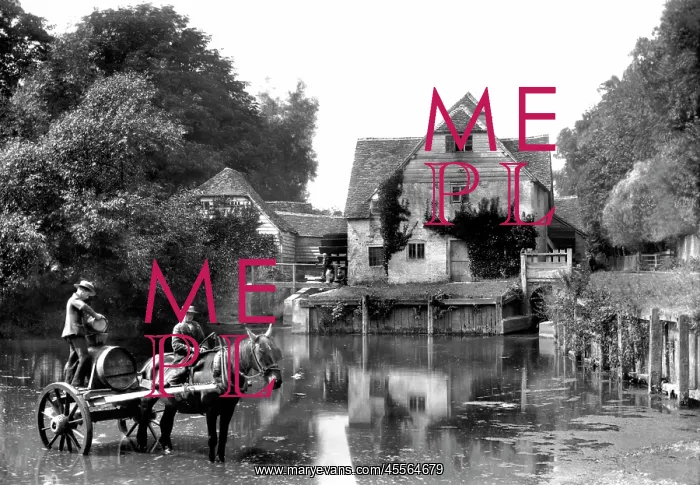  : Mapledurham, the Mill 1890