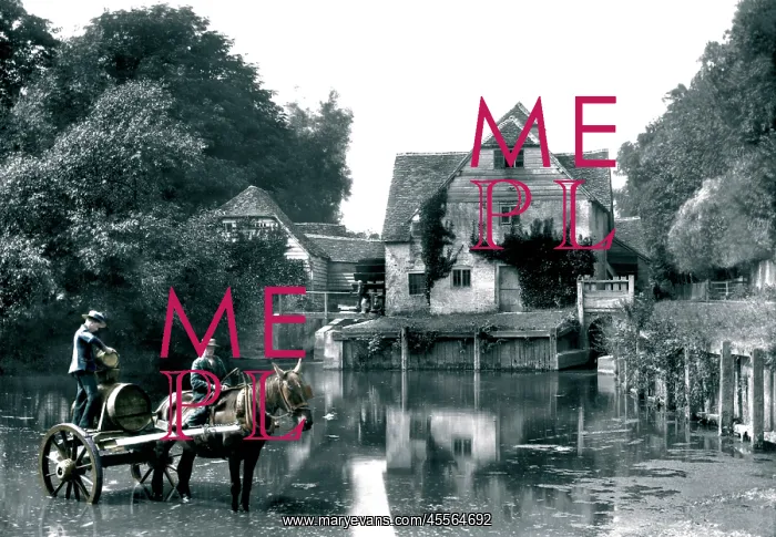  : Mapledurham, the Mill 1890