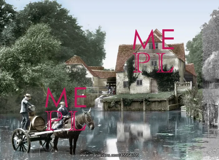  : Mapledurham, the Mill 1890