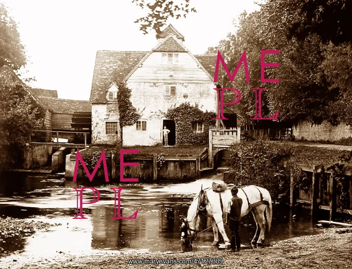  : Mapledurham Water Mill
