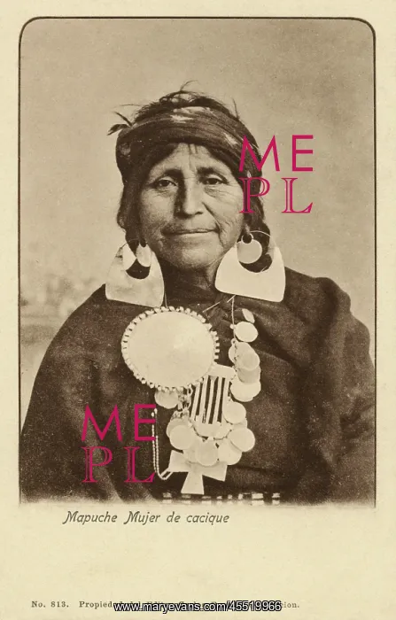 : A Mapuche Woman : A Mapuche Woman