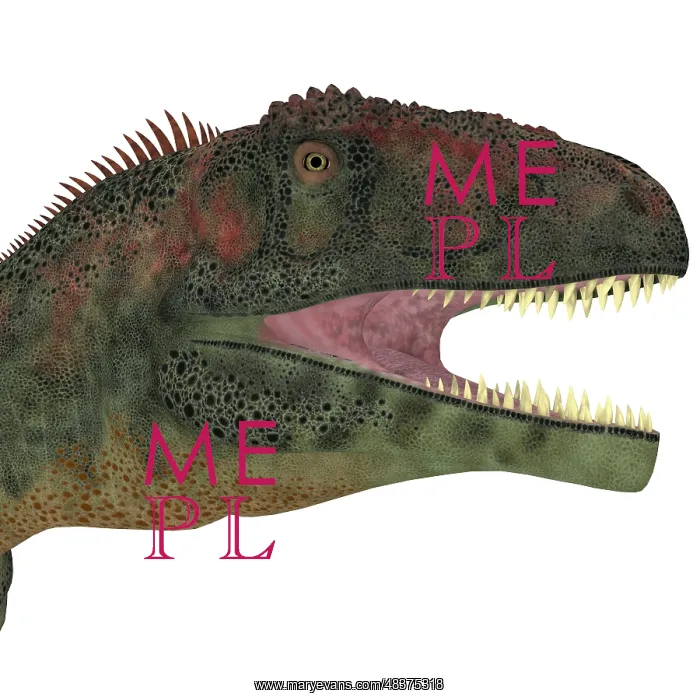 : Mapusaurus dinosaur head : Mapusaurus dinosaur head