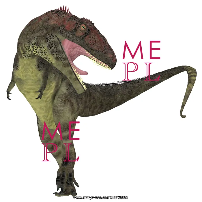 : Mapusaurus dinosaur, white background : Mapusaurus dinosaur, white background
