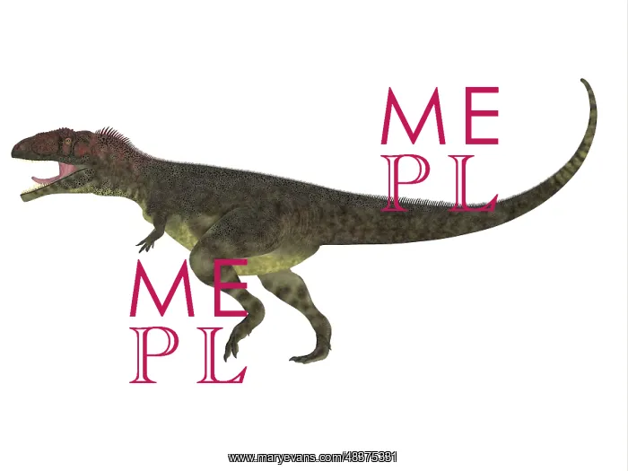 : Mapusaurus dinosaur, white background : Mapusaurus dinosaur, white background