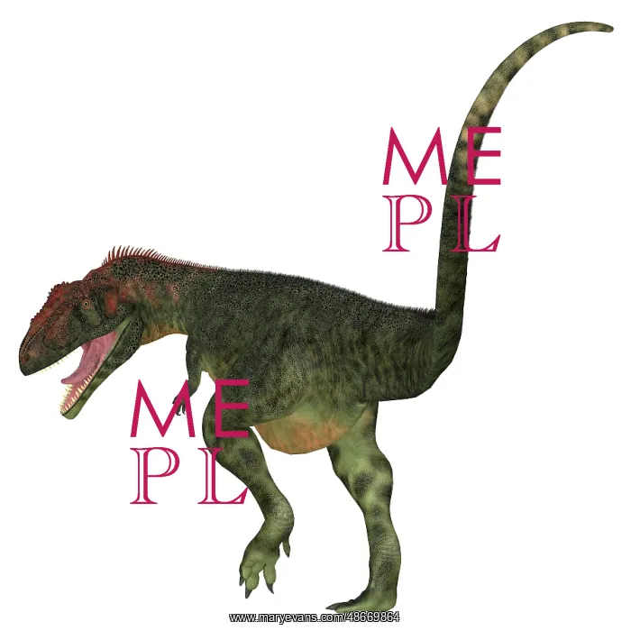 : Mapusaurus dinosaur, white background : Mapusaurus dinosaur, white background