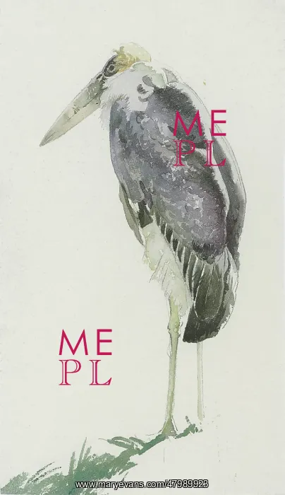  : Marabou Stork