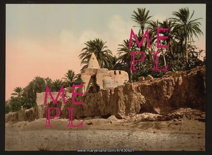  : Marabut near Biskra, Algeria