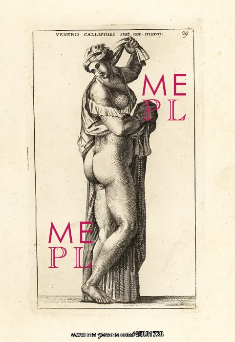 : Marble statue of Venus Callipyge : Marble statue of Venus Callipyge