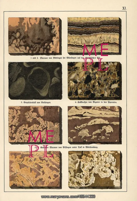 : Marble varieties : Marble varieties