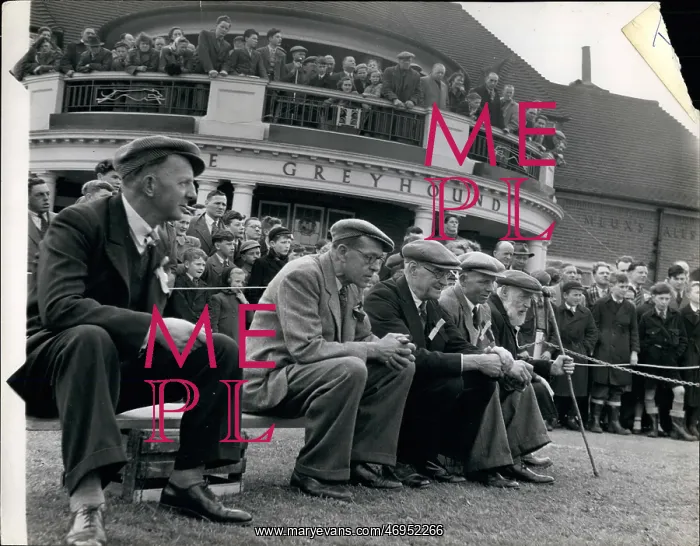 : Marbles championship, Tinsley Green, Surrey-Sussex border : Marbles championship, Tinsley Green, Surrey-Sussex border