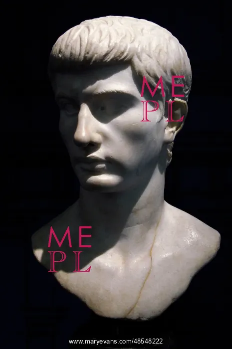 : Marcello. Bust. Marble. 1st century B.C : Marcello. Bust. Marble. 1st century B.C