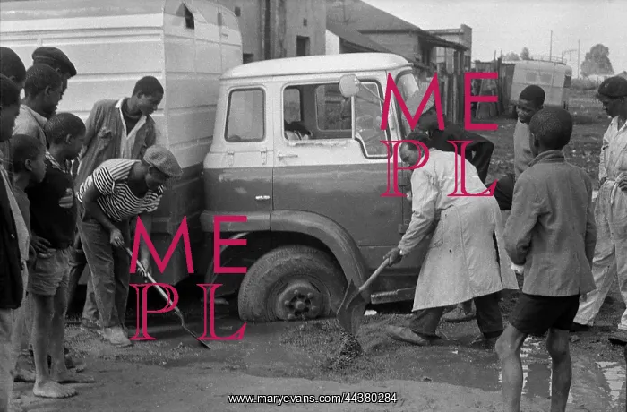 : March 26 1967 - Men and young boys pulling stucked : March 26 1967 - Men and young boys pulling stucked