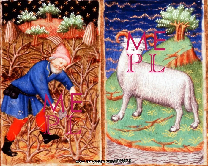 : March. Astrological sign of Aries. Pruning. From : March. Astrological sign of Aries. Pruning. From