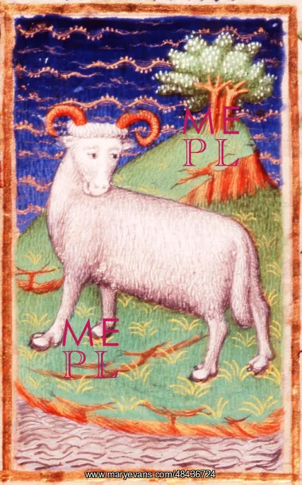 : March. Astrological sign of Aries, the Ram. From : March. Astrological sign of Aries, the Ram. From