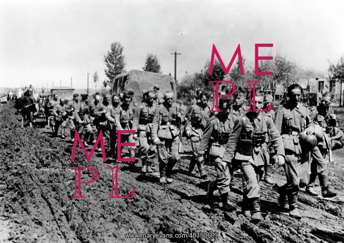 : March towards Don, June 1942 : March towards Don, June 1942