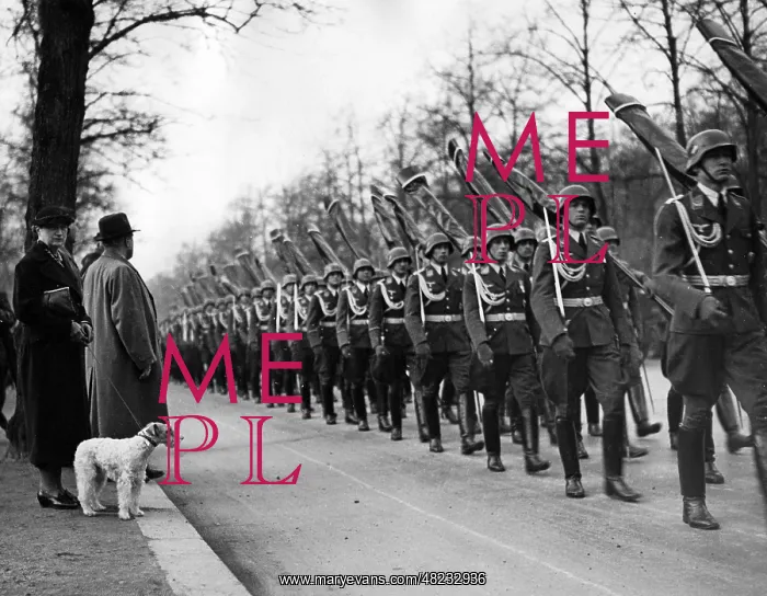 : March past of soldiers of the Luftwaffe to a flag : March past of soldiers of the Luftwaffe to a flag