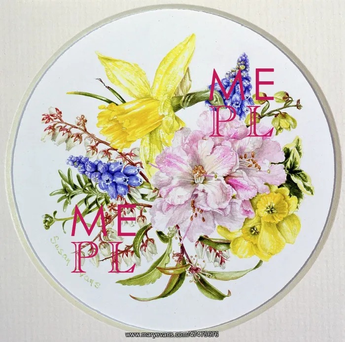 : March ? Rhododendron, Grape Hyacinth etc : March ? Rhododendron, Grape Hyacinth etc