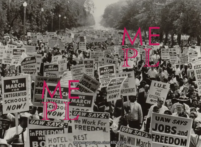 : March on Washington. African Americans carrying ? : March on Washington. African Americans carrying ?