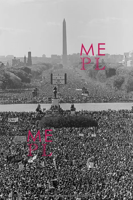 : Marchers on the National Mall during the Million : Marchers on the National Mall during the Million