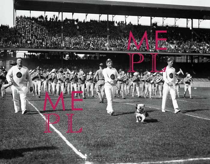 : Marching Band - Stadium - Sports : Marching Band - Stadium - Sports