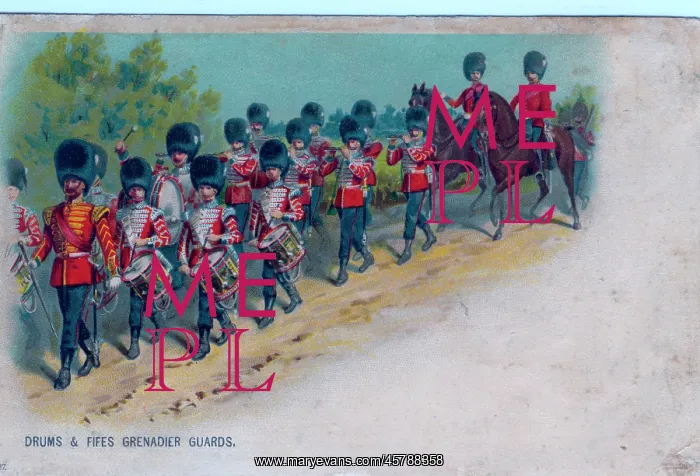 : Marching column of drums and fifes Grenadier Guards : Marching column of drums and fifes Grenadier Guards