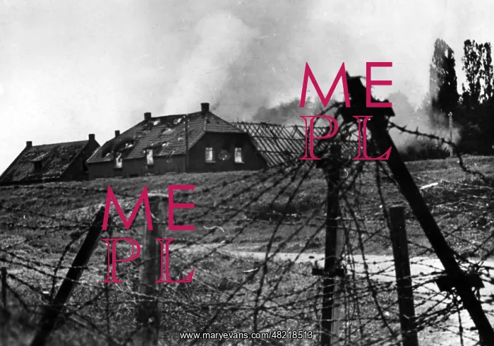 : Marching in of German troops at the crossing of the Meus : Marching in of German troops at the crossing of the Meus