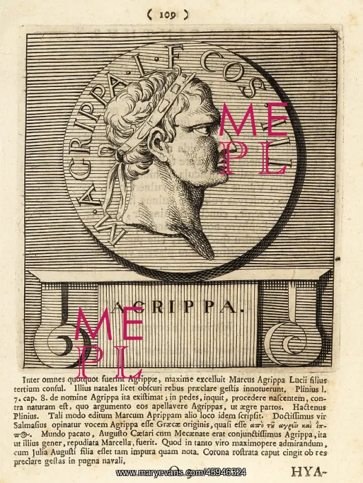 : Marcus Vipsanius Agrippa wearing a rostral crown : Marcus Vipsanius Agrippa wearing a rostral crown