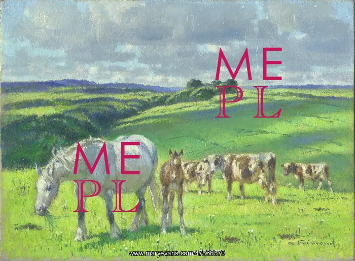 : Mare and foal with cows in a meadow : Mare and foal with cows in a meadow