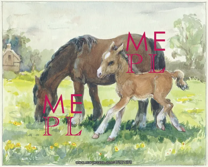  : Mare and foal in a field