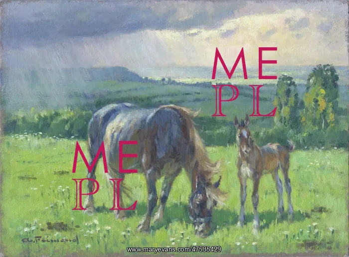  : Mare and foal in a field