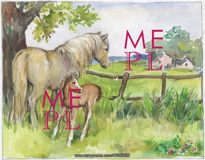 : Mare and foal in a field with butterfly : Mare and foal in a field with butterfly