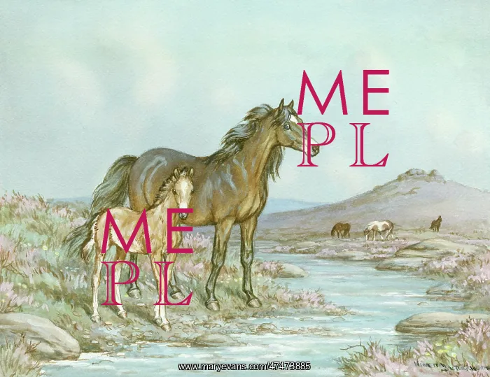  : Mare and foal on moor beside a stream