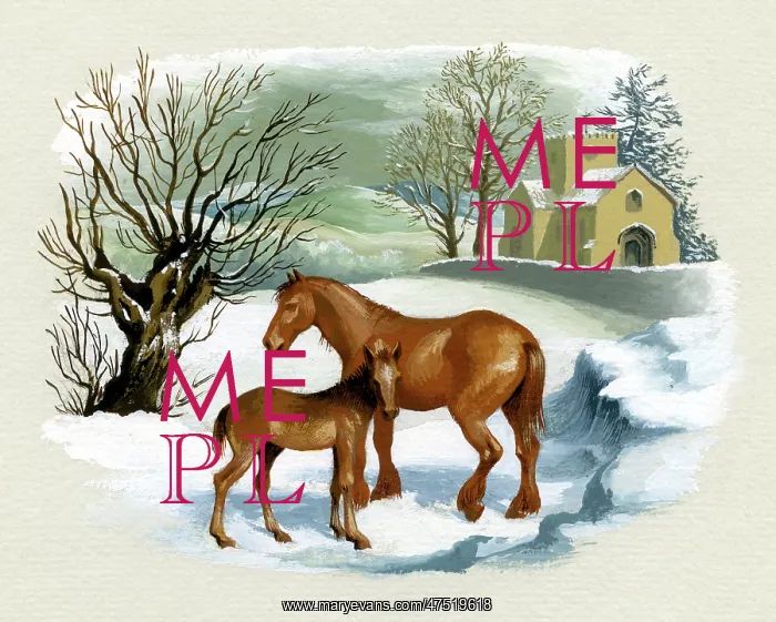 : Mare and Foal in the snow : Mare and Foal in the snow