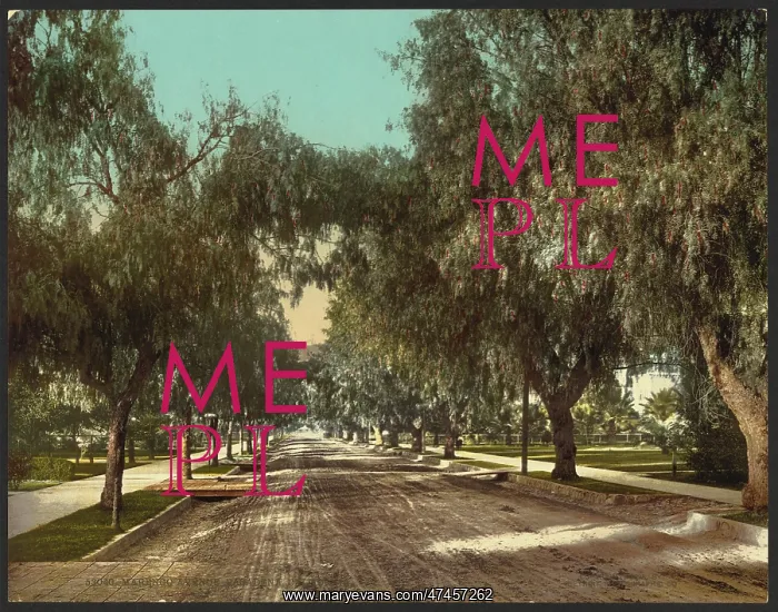 : Marengo Avenue, Pasadena, California : Marengo Avenue, Pasadena, California
