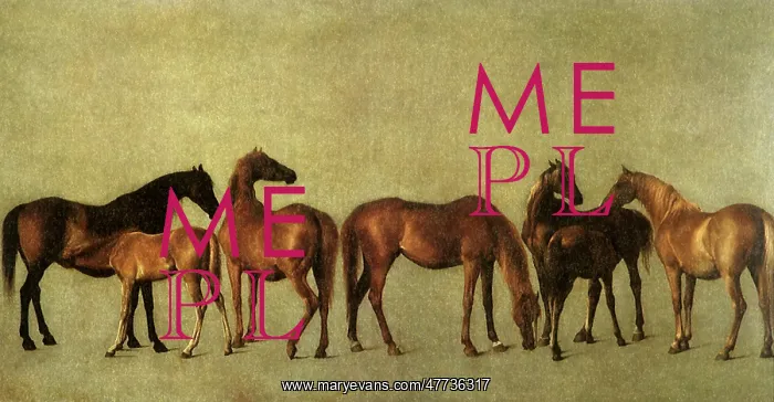 : Mares and Foals without a Background, by Stubbs : Mares and Foals without a Background, by Stubbs