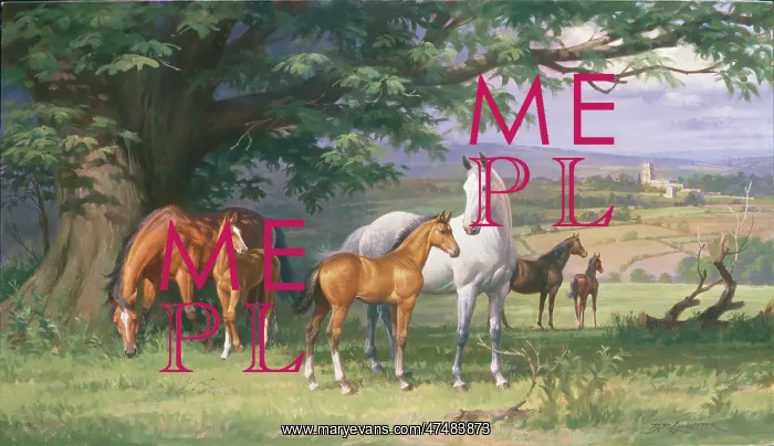 : Mares and Foals in the Cotswolds : Mares and Foals in the Cotswolds