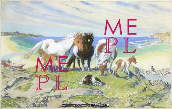 : Mares and foals by the sea : Mares and foals by the sea