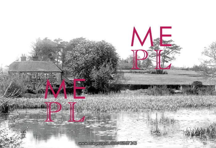  : Maresfield, Mill Pond 1902