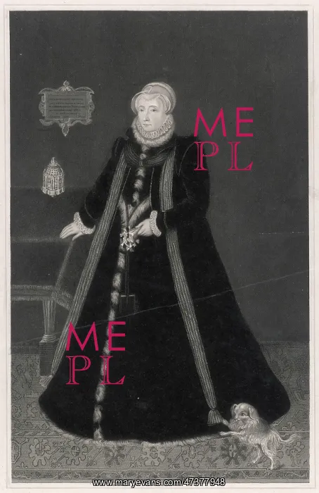 : MARGARET COUNTESS LENNOX : MARGARET COUNTESS LENNOX