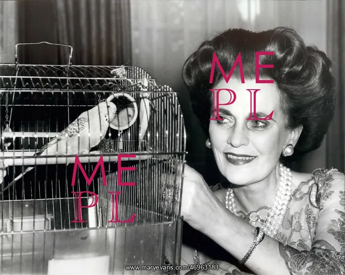 : Margaret, Duchess of Argyll, with budgerigar : Margaret, Duchess of Argyll, with budgerigar