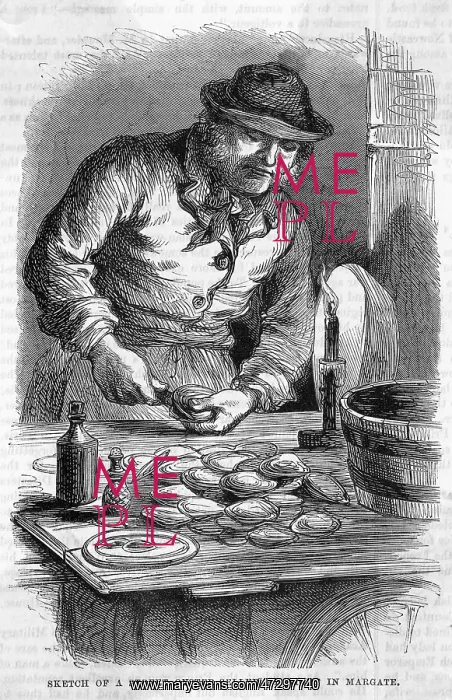 : MARGATE OYSTER SELLER : MARGATE OYSTER SELLER