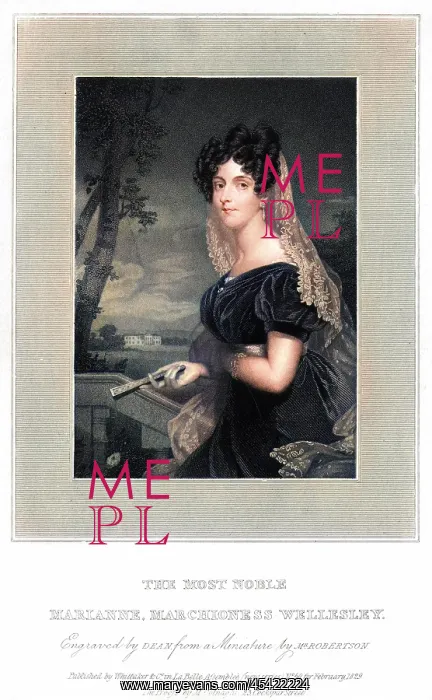 : MARIANNE WELLESLEY : MARIANNE WELLESLEY