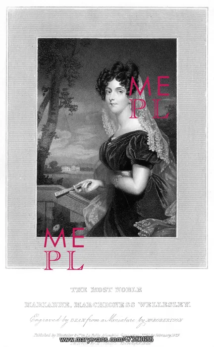 : MARIANNE WELLESLEY : MARIANNE WELLESLEY