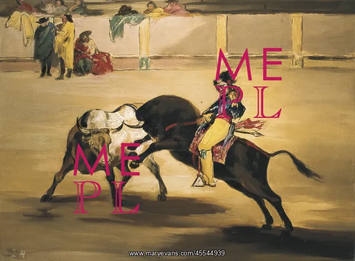 : Mariano Ceballos, alias the Indian, by Goya : Mariano Ceballos, alias the Indian, by Goya