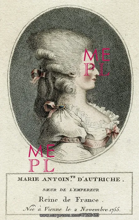 : MARIE ANTOINETTE : MARIE ANTOINETTE