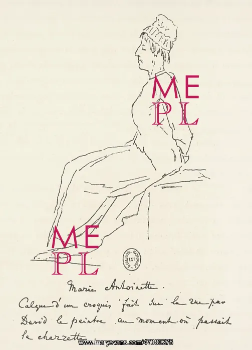 : MARIE ANTOINETTE GOES : MARIE ANTOINETTE GOES
