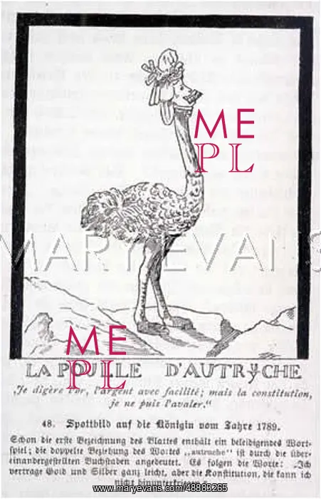 : MARIE ANTOINETTE OSTRICH : MARIE ANTOINETTE OSTRICH