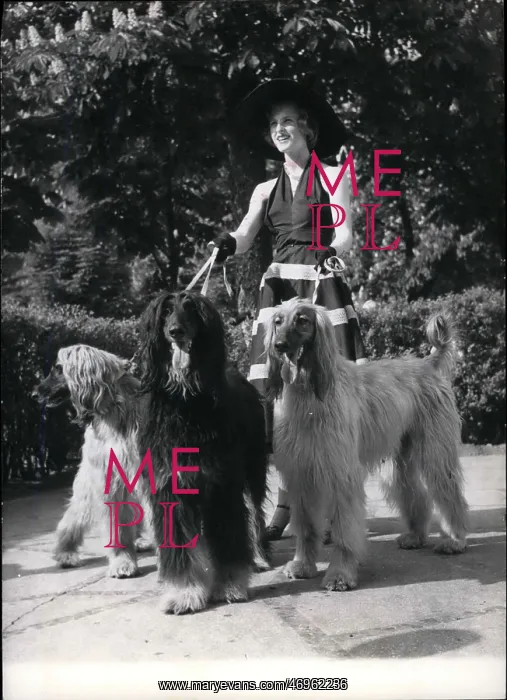 : Marie Coper Royer with Afghan hounds : Marie Coper Royer with Afghan hounds